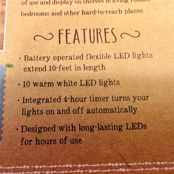 Pineapples Automatic 4 HR TIMER Fairy String LED Lights10-Foot 10-Light Battery - Picture 5 of 8